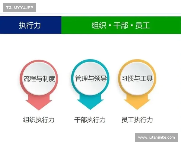 如何高效利用龙跃武器蓄能值提升战斗输出与策略执行