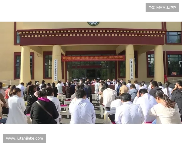 社工服务站如何推动高原地区社会发展与民生改善路径探讨