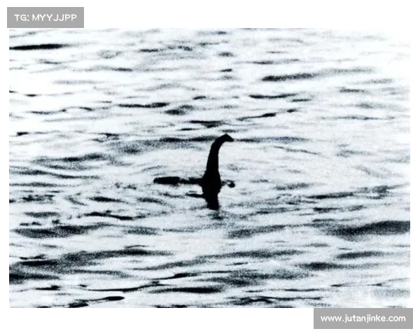 沼光湖诡异事件真相探秘背后隐藏的自然现象与人类传说结合