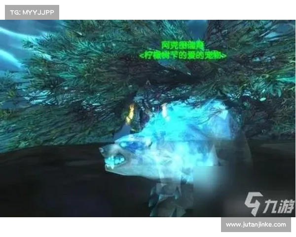 《魔兽世界副本探险全攻略 从入门到精通的完美指南》 《魔兽世界副本探险全攻略 从入门到精通的完美指南》