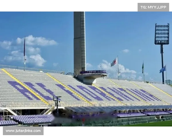 意甲球队为何长期难以拥有自建球场背后的体制与经济困境分析